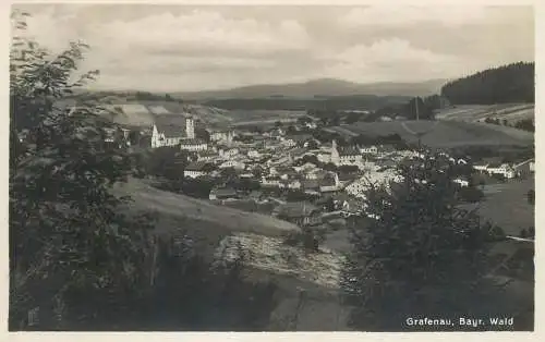 Germany Grafenau (Bayr Wald) general view