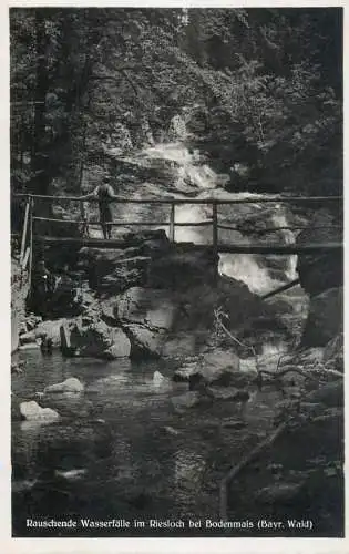 Germany Rauschende Wasserfalle im Riesloch bei Bodenmais 1933 image