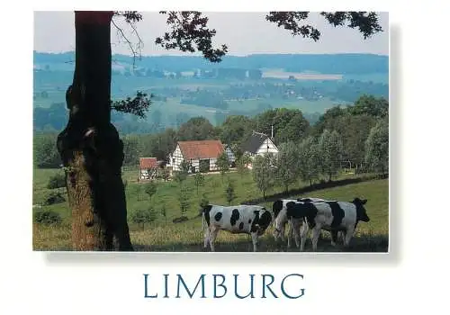 Netherlands Limburg