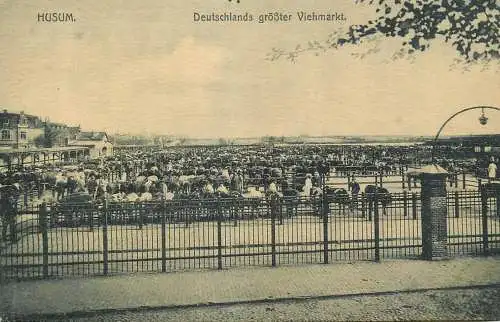 Husum Viehmarkt