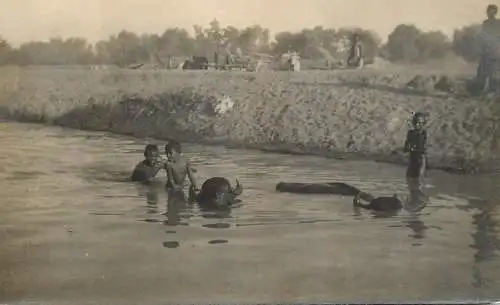 Ethnic scene & types children bathing buffaloes