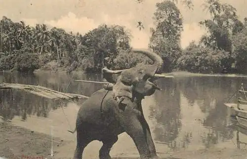 Ceylon Sri Lanka native boy riding elephant