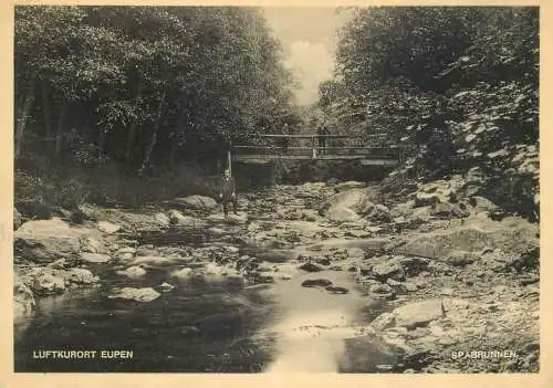 Belgium Luftkurort Eupen picturesque natural landscape rustic bridge