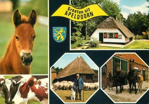 Netherlands Groeten uit Apeldoorn
