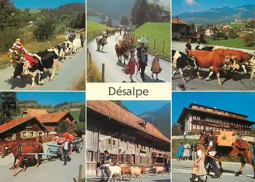 Switzerland Desalpe en Gruyere multi view