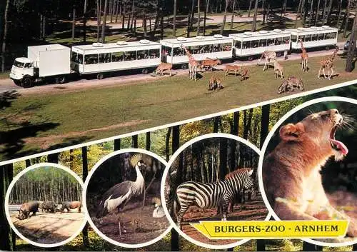 Netherlands Arnhem Burgers Zoo train