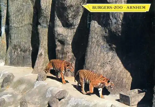 Netherlands Arnhem Burgers Zoo