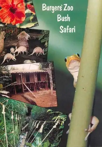 Netherlands Arnhem burgers bush zoo safari