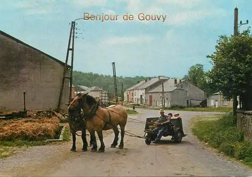Belgium Ardennes horse