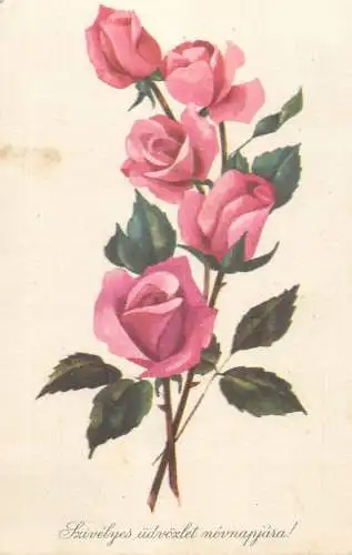 Drawn rosed greetings postcard Hungary 1965