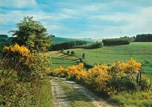 Belgium Our Valley picturesque scenery
