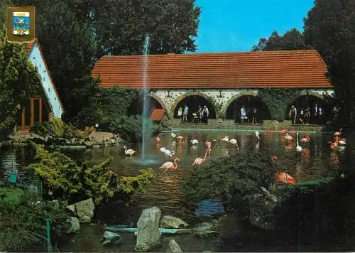 Belgium De Panne Adinkerke park flamingo birds