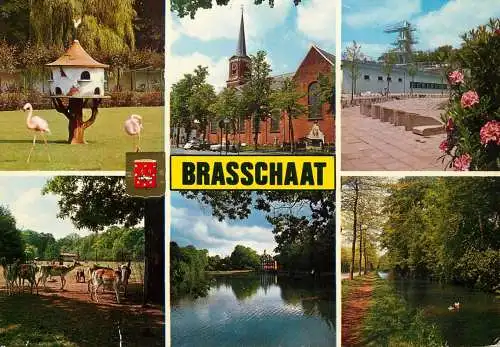 Belgium Brasschaat