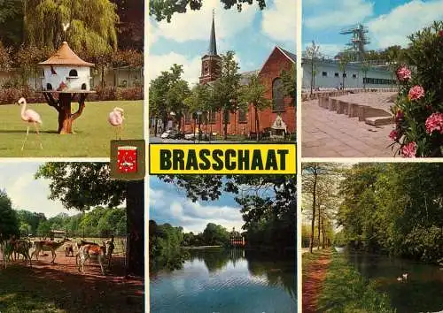 Belgium Brasschaat
