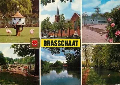 Belgium Brasschaat