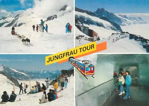 Switzerland Jungfrautour train ski dog sled