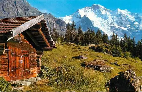 Switzerland Jungfrau
