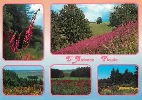 Belgium L'Ardenne Fleurie multi view