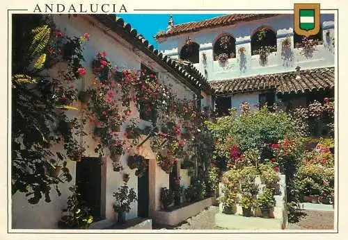 Spain Andalucia tipico patio