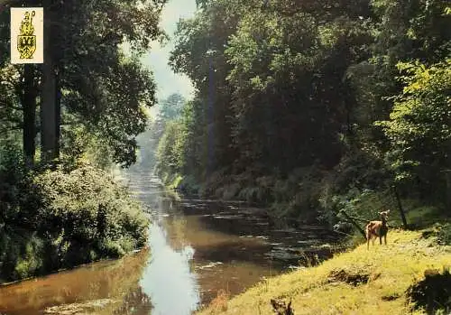 Belgium Kasterlee Kleine Nete