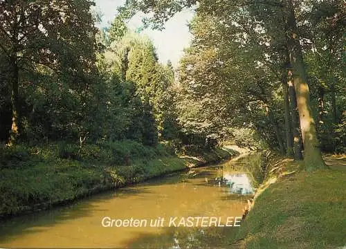 Belgium Groeten uit Kasterlee forest and water stream picturesque natural landscape