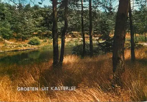 Belgium Groeten uit Kasterlee forest picturesque scenery