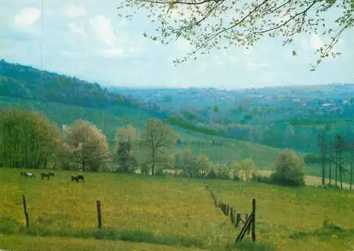 Netherlands Slenaken Limburg picturesque countryside area horses