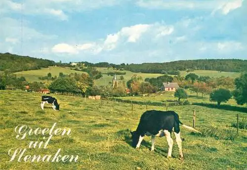 Netherlands Slenaken Limburg picturesque countryside area cows