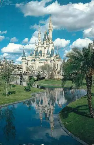 Disneyland Fairy-tale Castle Cinderella Castle
