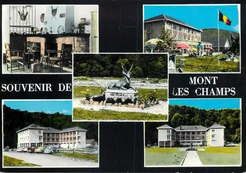 France souvenir de Mont les Champs multi view