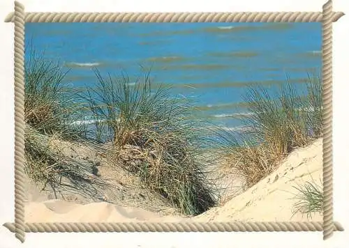 Belgium dunes beach view