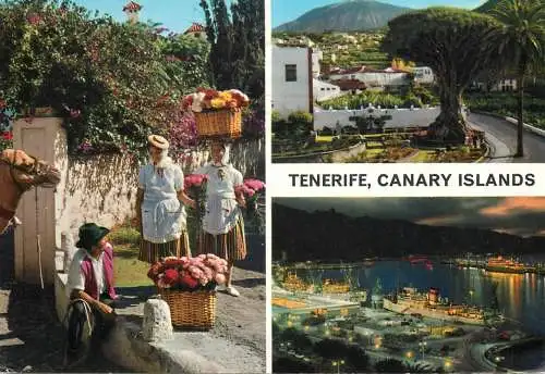 Spain Canary Islands Tenerife multi view