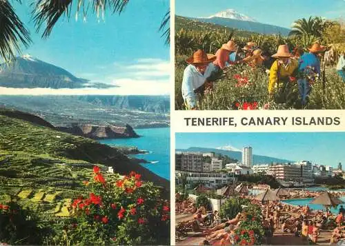 Spain Canary Islands Tenerife multi view