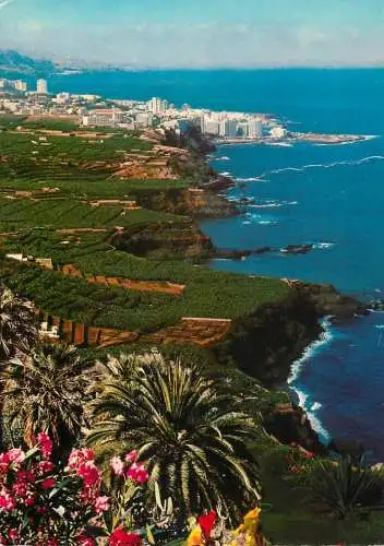 Spain Tenerife Puerto de la Cruz