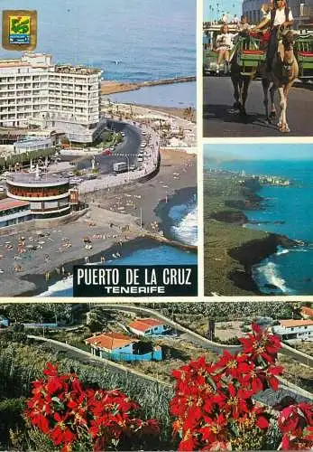 Spain Tenerife Puerto de la Cruz