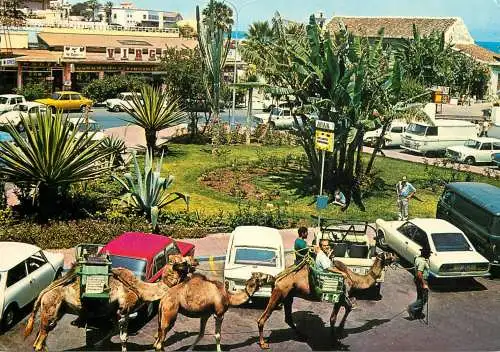 Spain Tenerife Puerto de la Cruz