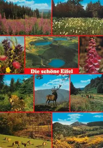 Germany Eifel