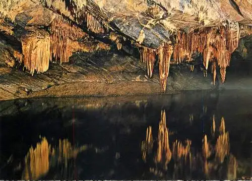 Belgium Grottes de Han sur Lesse Salle des Draperies