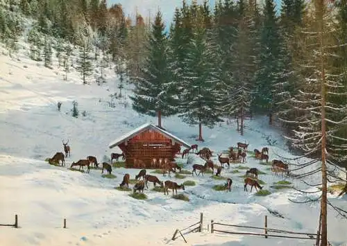 Germany Bergen winter scene cottage deers