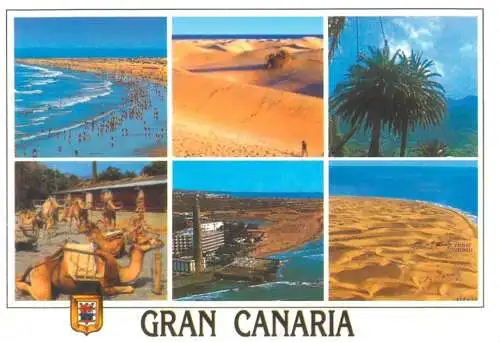 Spain Gran Canaria camel