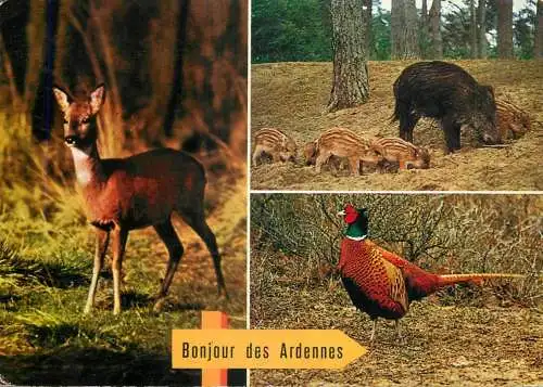 Belgium Ardennes Belges wildlife multi view