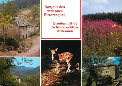 Belgium picturesque Ardennes multi view