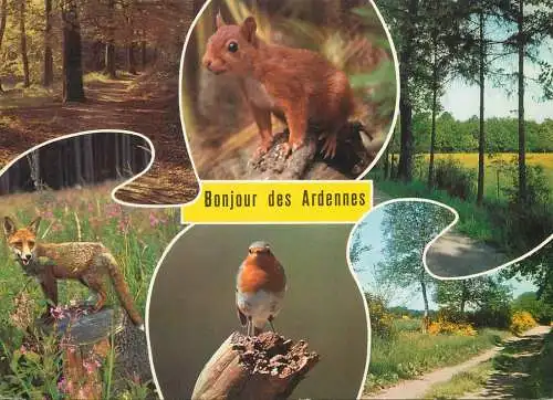 Belgium Ardennes wildlife multi view