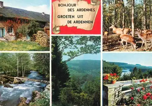 Belgium Ardennes several views landscapes and animals