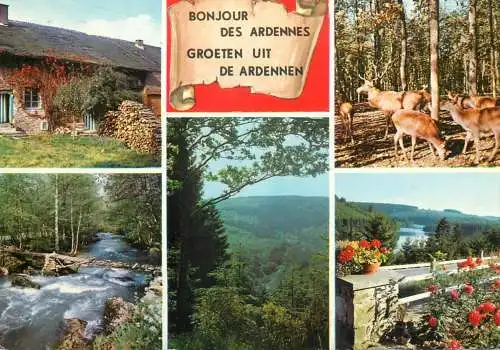 Belgium Ardennes multi view landscapes and animals