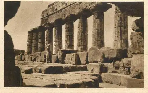 Italy Selinunte (Trapani area) Peristilio del Tempio C