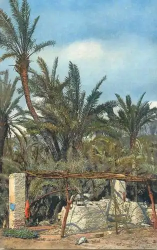 AK Kunstlerkarte Photochromie Riviera di Ponente Bordighera Serie 137, No. 2624