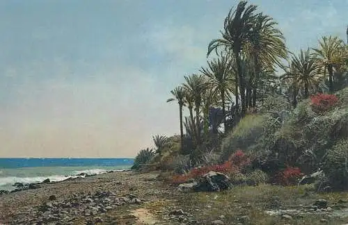 AK Kunstlerkarte Photochromie Riviera di Ponente Bordighera Serie 138, No. 2638