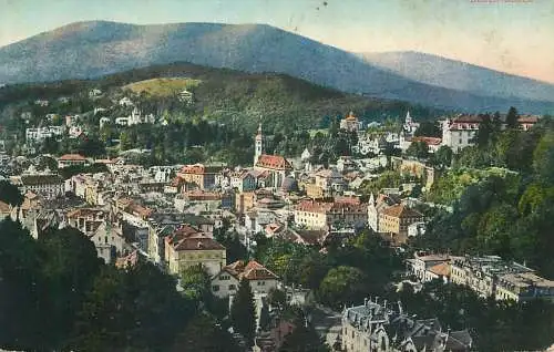 Germany Baden-Baden panoramic view