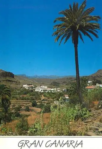 Spain Gran Canaria Fataga paisaje canario